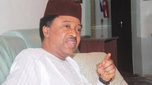 Talk  too much in National Assembly, you pay for it - Shehu Sani