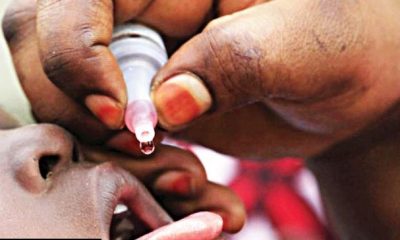 WHO, Borno begin polio vaccination