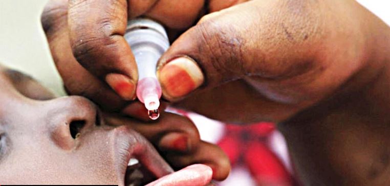WHO, Borno begin polio vaccination