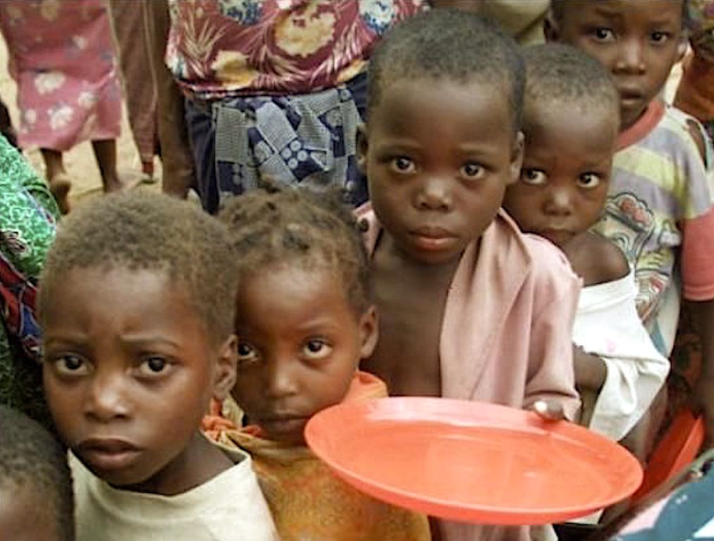Over 20m Nigerians risk starvation in 2024--FAO
