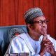 Disquiet over Buhari's silence since Ribadu revealed Tinubu inherited 'bankrupt country'