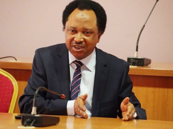 Some extremely wealthy Nigerians had CBN in their pockets - Shehu Sani