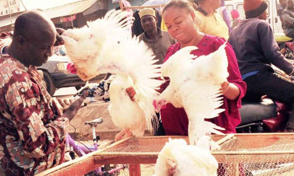 Nigerians face bleak Christmas as prices of chickens, food items, others soar