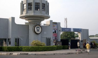 At last, FG pulls universities, polytechnics out of IPPIS.