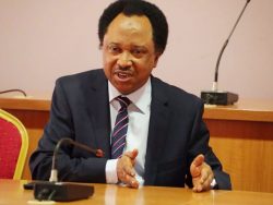 Shehu Sani supports protest of high cost of living in Minna