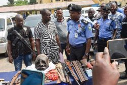 Lagos police parade 34 suspected cultists, others