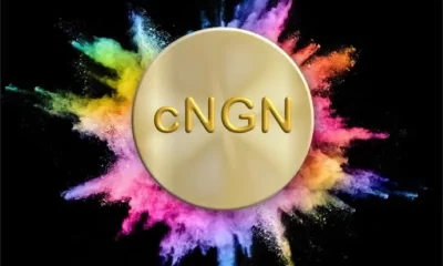 Banks, Fintechs to develop, manage cNGN stablecoin