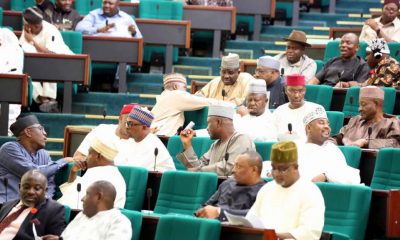 Bill on State Police passes second reading at House of Reps