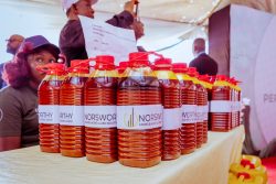 Norsworthy Farms establishes oil palm processing mill in Delta 