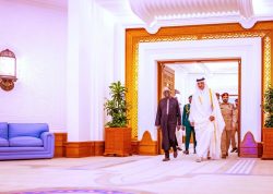 Tinubu celebrates success of Doha trip