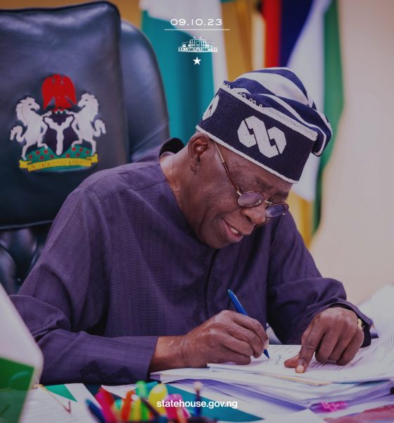 President Tinubu's First Year in Office: Propelling Nigeria Towards Renewal
