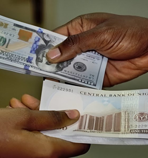 Ban on foreign currency collateral for Naira loans will enhance FX liquidity—experts