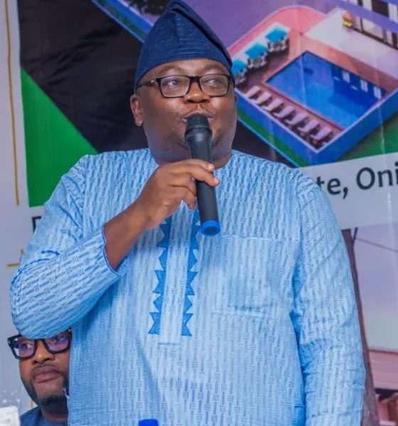 Why some Nigerians don’t want power sector to work —Minister of Power, Adelabu