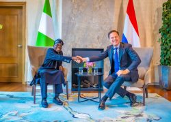  Tinubu meets Dutch PM Mark Rutte, businessmen, canvasses stronger ties 