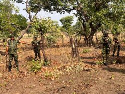 Army kill 5 terrorists, foil kidnap attempts, recover arms in Taraba