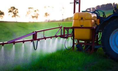 EPA allows highly toxic weedkiller on food crops — but not golf courses