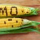 T-maize: FG exposing citizens to product of risky technologies---HOMEF