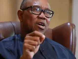 Nigerian electricity supply industry defies reform, faces real danger of collapse - Obi