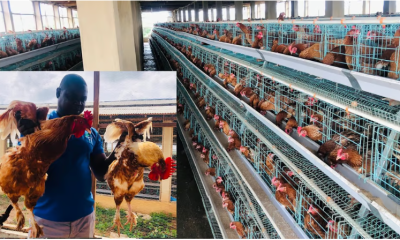 FG empowers over 1,000 poultry farmers