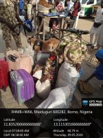 Nigerian Army arrests personnel in possession of illegal ammunition, grenade in  Maiduguri
