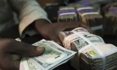 Naira reverses gain, drops by 13.26% in official window