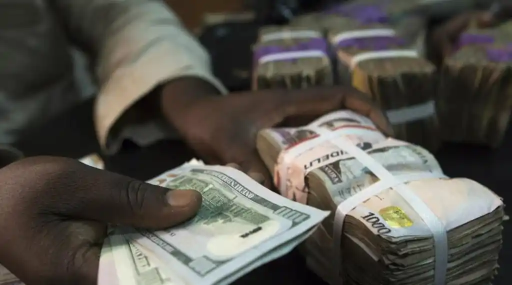 Naira reverses gain, drops by 13.26% in official window