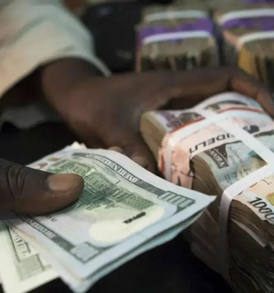 Naira crashes further at official, parallel markets