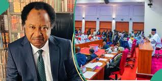 Shehu Sani ridicules Tinubu, National Assembly, proposes bill for change of Nigeria's to escape debt repayment