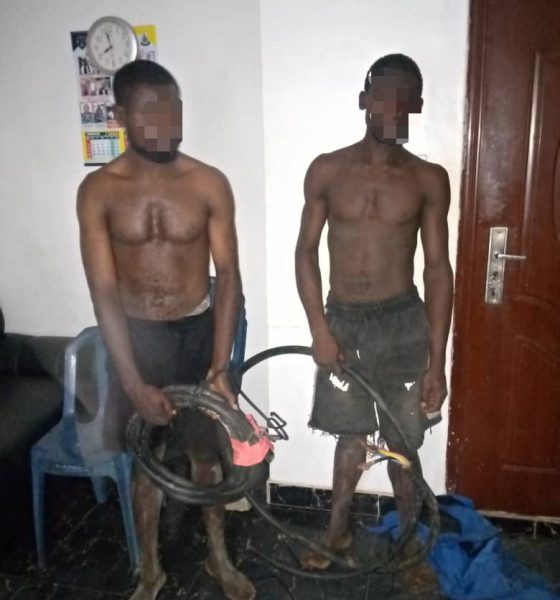 Police investigate two brothers arrested by vigilant for vandalizing transformer cables