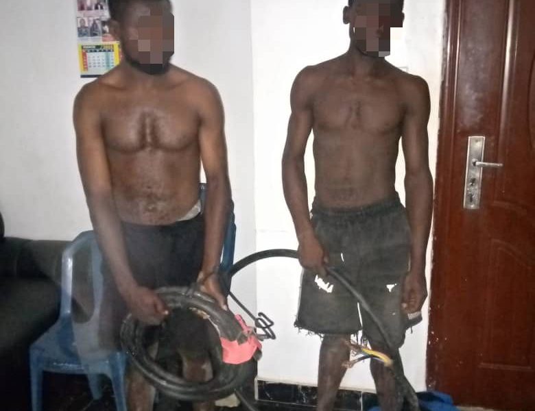 Police investigate two brothers arrested by vigilant for vandalizing transformer cables