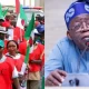 Minimum wage: We’ve negotiated with Organised Labour--Tinubu