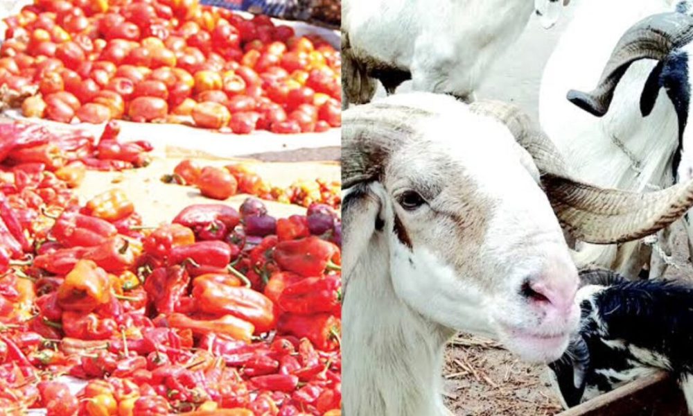 Nigerians face most expensive Sallah in 30 years