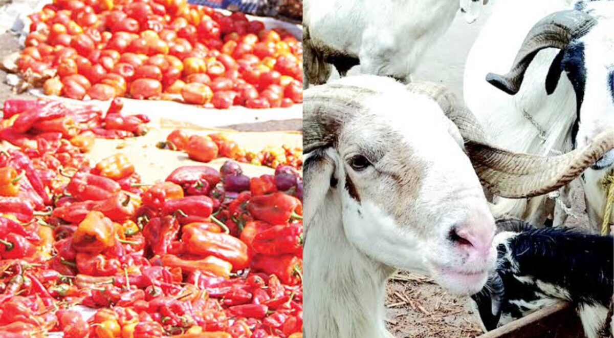 Nigerians face most expensive Sallah in 30 years