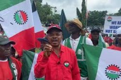 CDHR declares support for NLC/TUC indefinite national strike