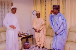 Tension rises as Atiku, El-Rufai, Tambuwal, Modu Sheriff visit Buhari in Daura