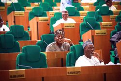 House of Reps passes bill for Establishment of South West Devt Commission