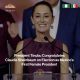 Tinubu congratulates Claudia Sheinbaum on election as Mexico's first female President