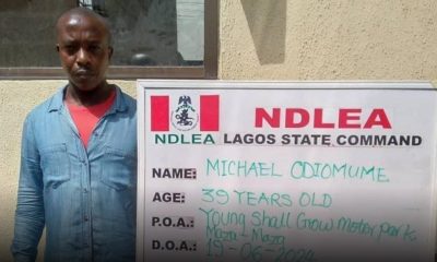 NDLEA intercepts 39-year-old man in possession of illicit drugs disguised as chocolate packs 