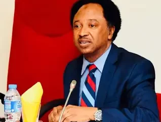 Democracy should not be Government installed by majority for benefit of minority - Shehu Sani