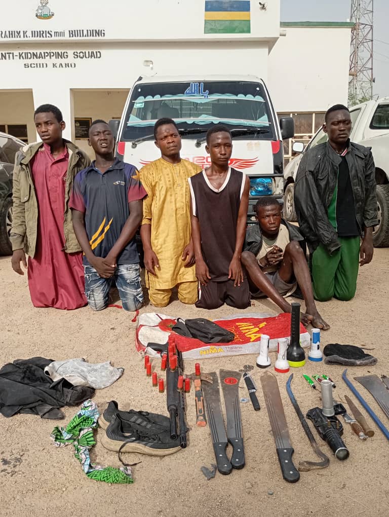 Police arrest 19 for robbery, cattle rustling, banditry in Kano