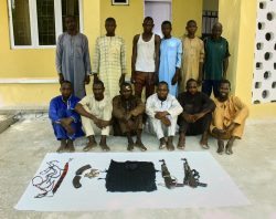 Police arrest 19 for robbery, cattle rustling, banditry in Kano