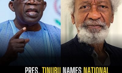 Tinubu names National Theater after Wole Soyinka