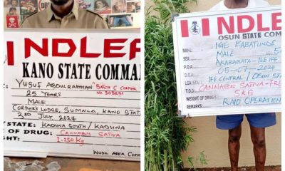 Osun traditional ruler, corps member busted for illicit drugs