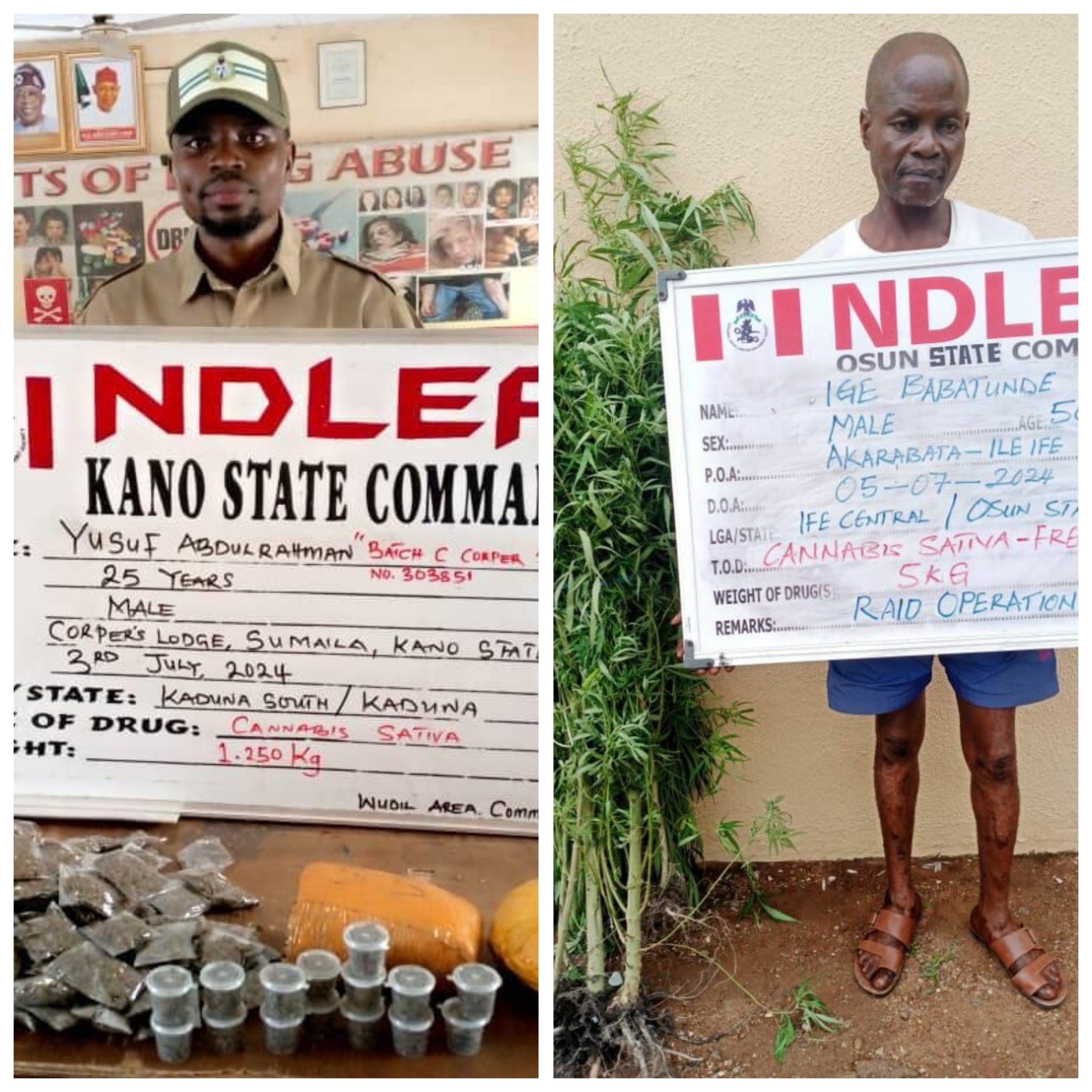 Osun traditional ruler, corps member busted for illicit drugs