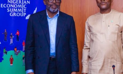 FG, NESG inaugurate joint planning committee for 30th Nigerian Economic Summit