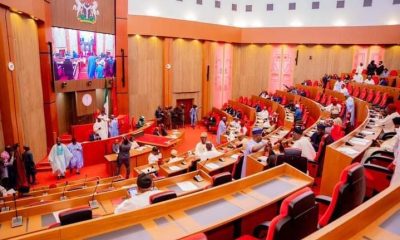 Senate vows to expose economic saboteurs in petroleum sector