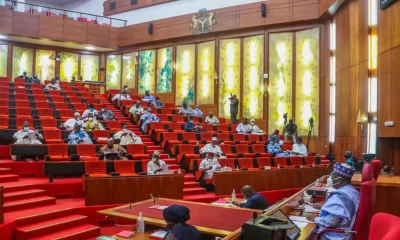 Senate increases windfall levy on Banks' forex gains to 70%