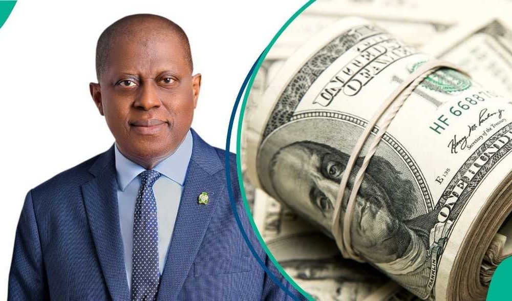 15 Things to Know About FG’s Domestic Dollar Bond