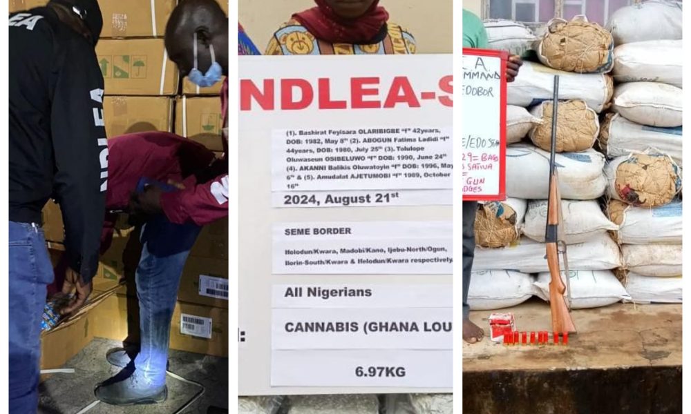 NDLEA intensifies nationwide drug crackdown with major seizures, arrests