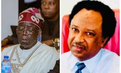 Shehu Sani alleges plot to overthrow Tinubu amid protests in northern states